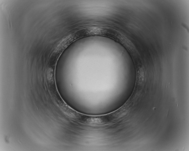 X0000101690361200807171440