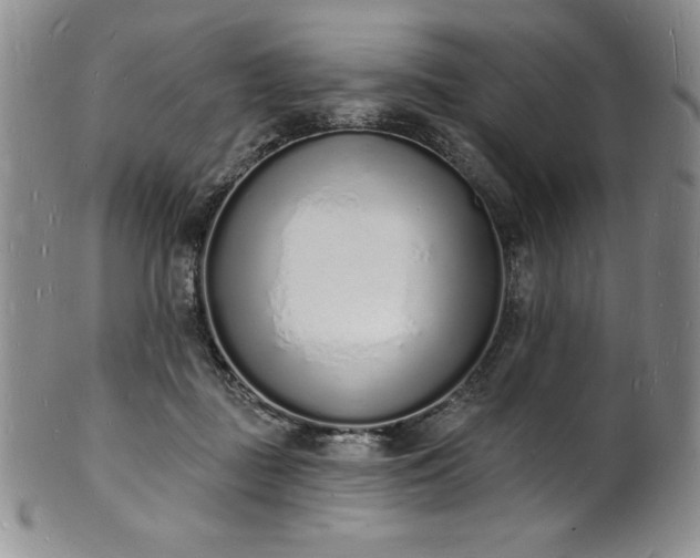 X0000101690363200807171440