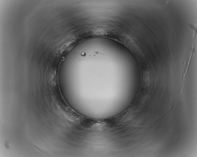 X0000101690364200807171440