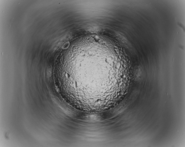 X0000101690365200807171440