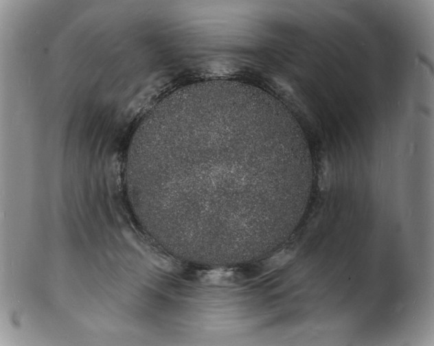 X0000101690366200807171440