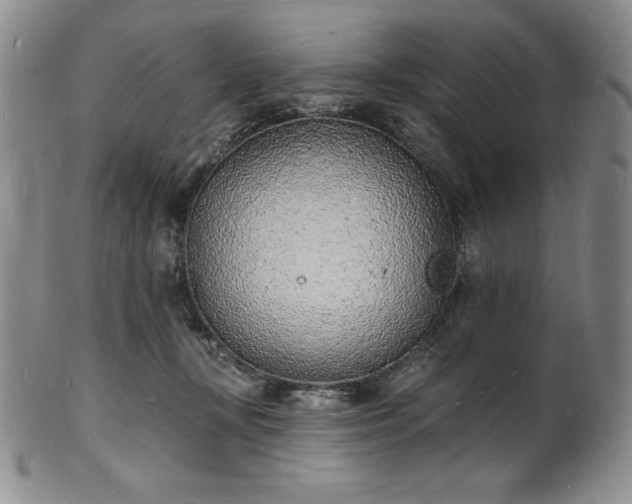 X0000101690367200807171440