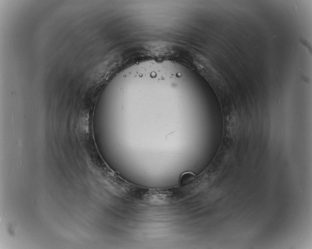 X0000101690368200807171440