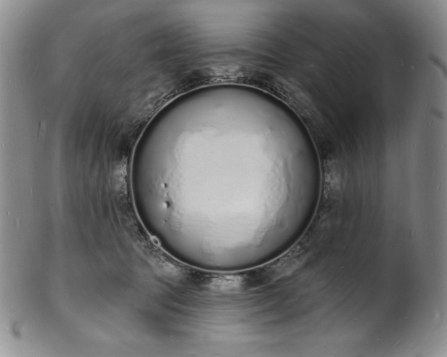 X0000101690369200807171440