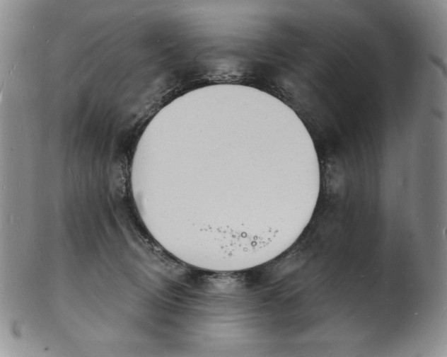 X0000101690370200807171441