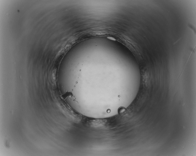 X0000101690373200807171441