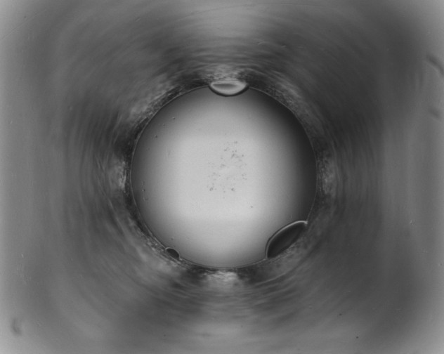 X0000101690374200807171441