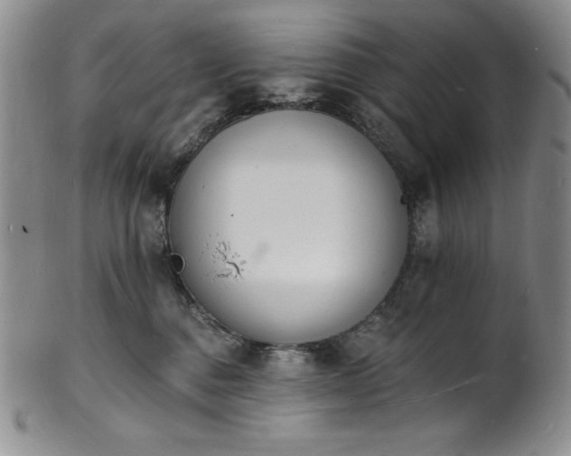 X0000101690376200807171441