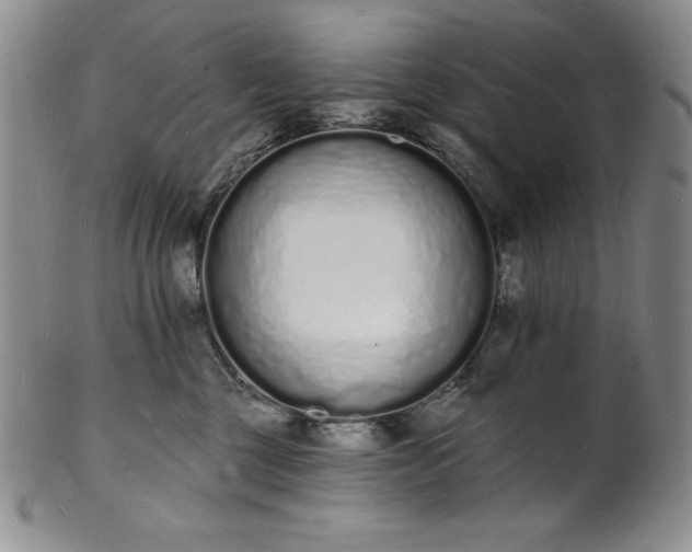 X0000101690377200807171441