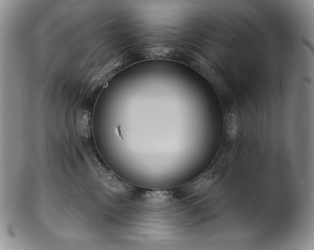 X0000101690378200807171441