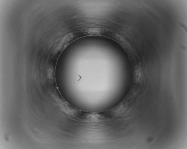 X0000101690379200807171441