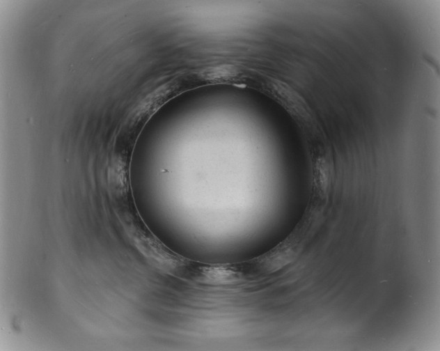 X0000101690380200807171441