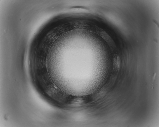 X0000101690381200807171441