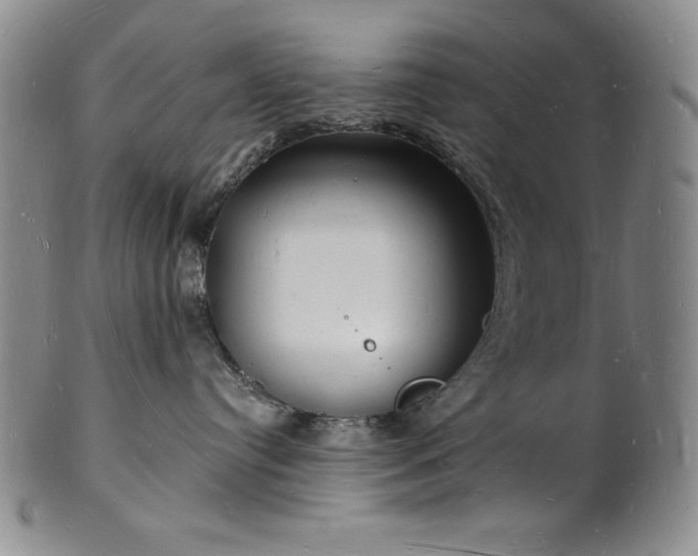 X0000101690384200807171441