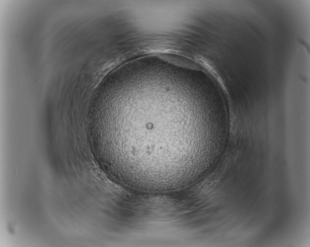 X0000101690385200807171440