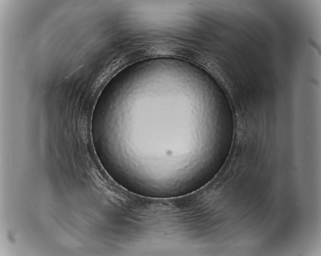 X0000101690386200807171440