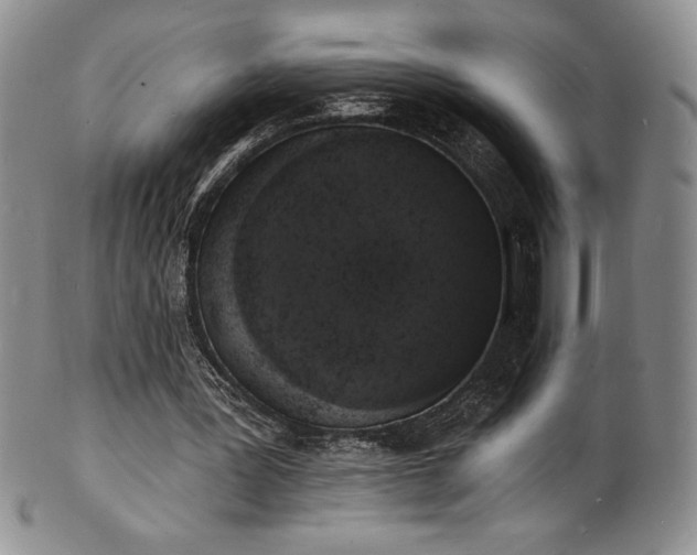 X0000101690387200807171440