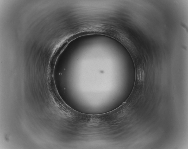 X0000101690388200807171440