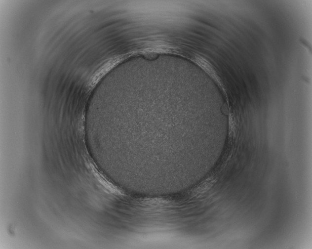 X0000101690389200807171440