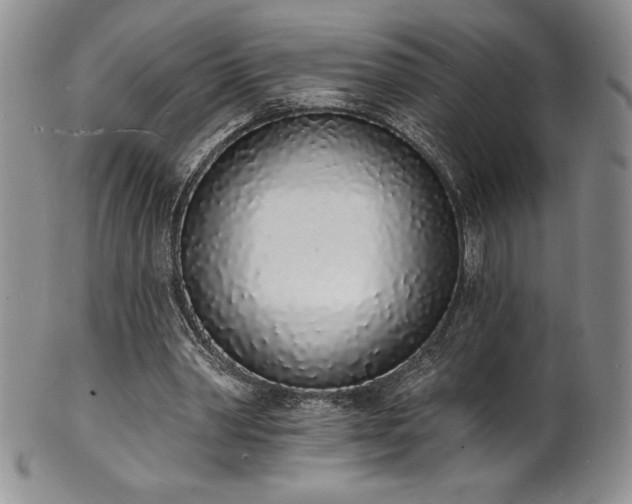 X0000101690390200807171440