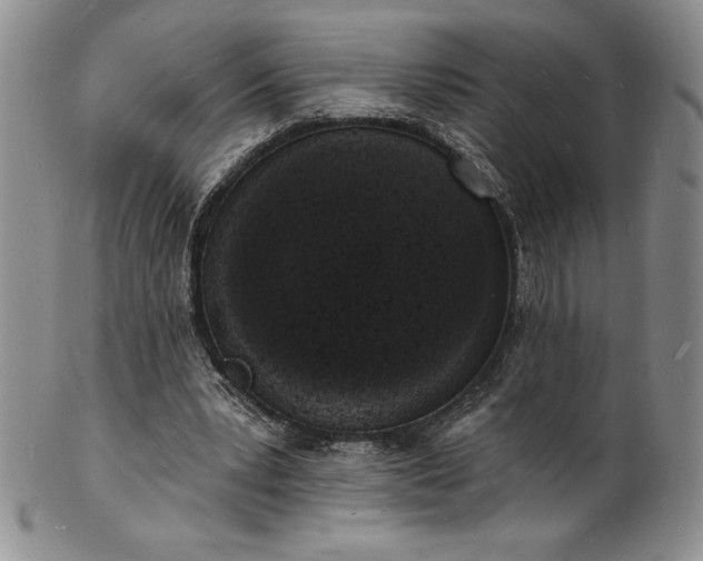 X0000101690391200807171440