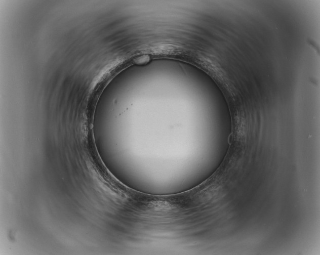 X0000101690392200807171440