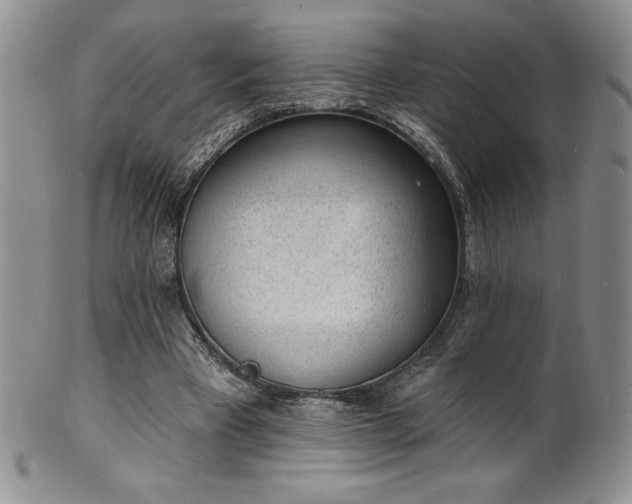 X0000101690393200807171440