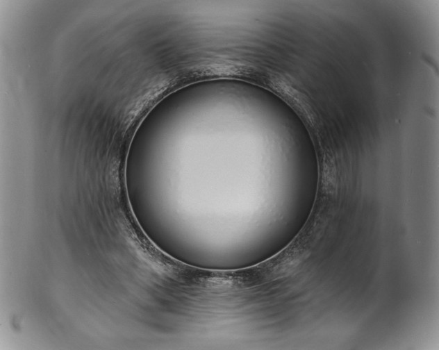 X0000101690394200807171440