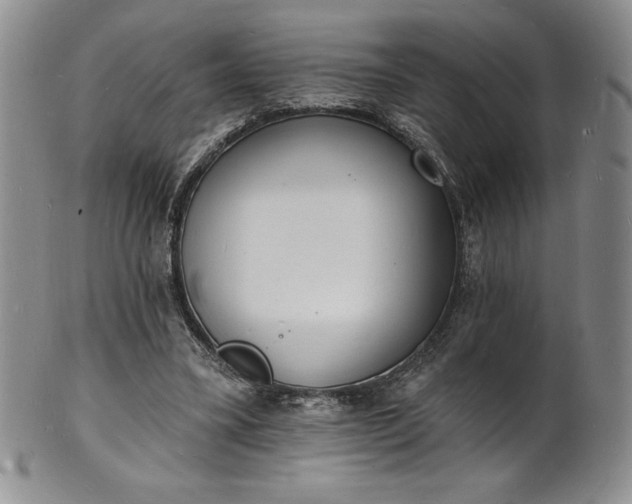 X0000101690395200807171440