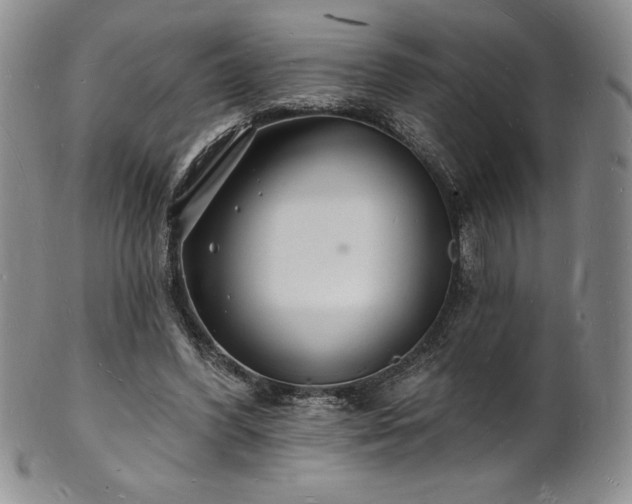 X0000101690396200807171440