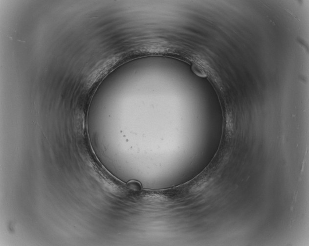 X0000101690397200807171440