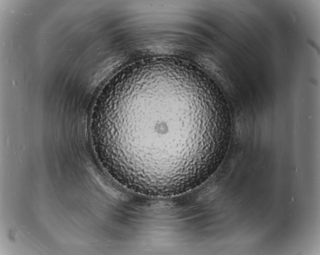 X0000101690398200807171440