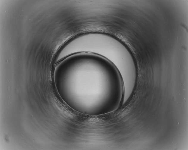 X0000101690399200807171440