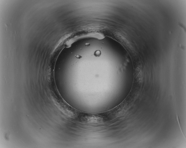 X0000101690400200807171440