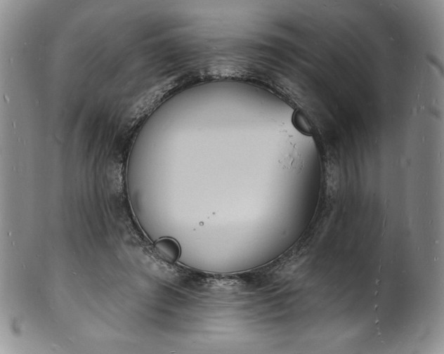 X0000101690401200807171440