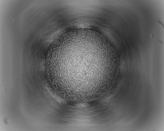 X0000101690402200807171440