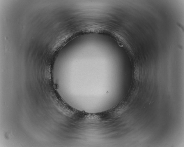 X0000101690403200807171440