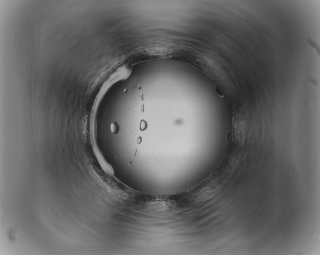 X0000101690404200807171440