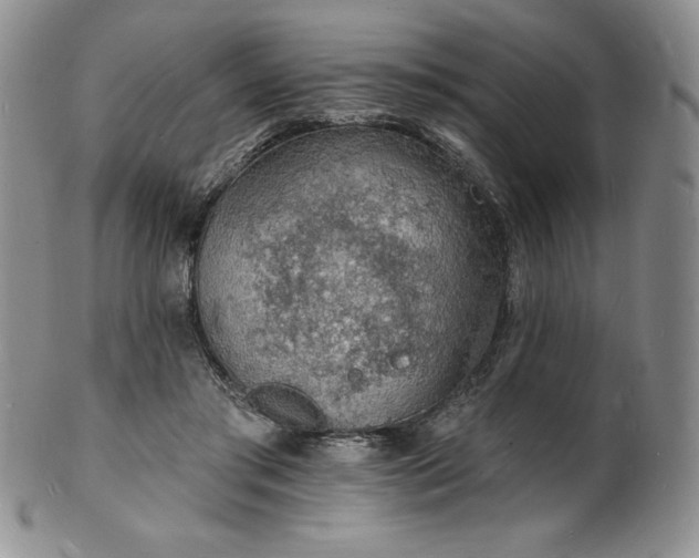 X0000101690405200807171440