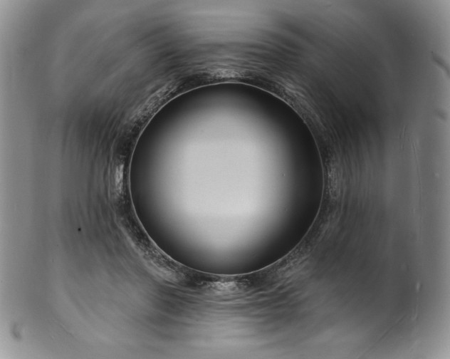 X0000101690406200807171440