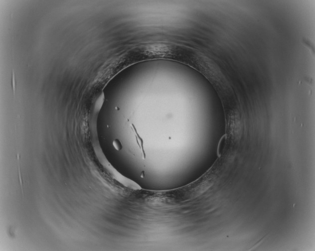 X0000101690408200807171440