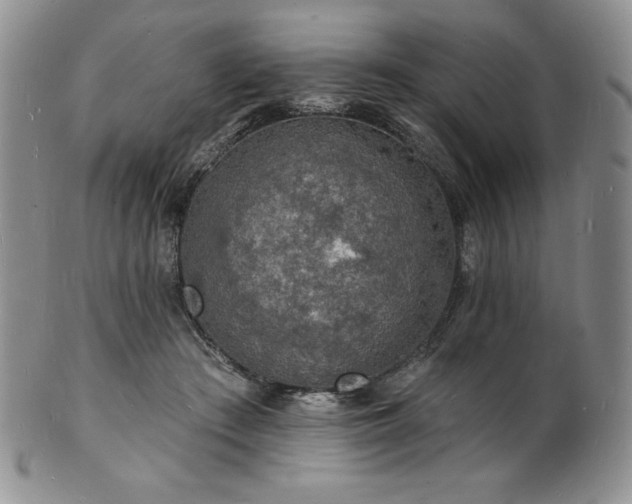 X0000101690409200807171440