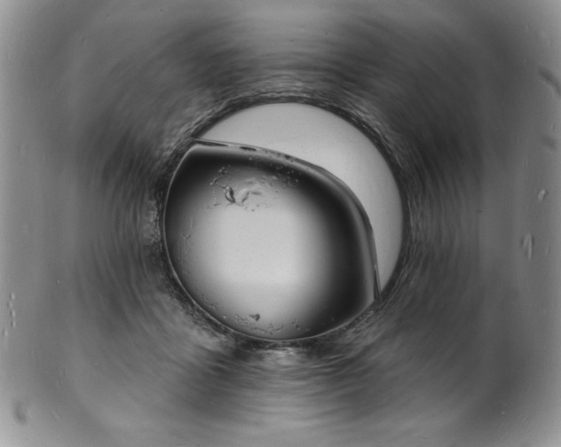 X0000101690411200807171440