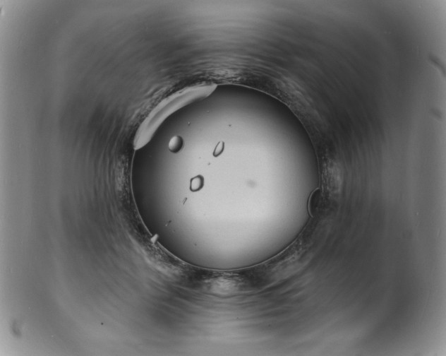 X0000101690412200807171440