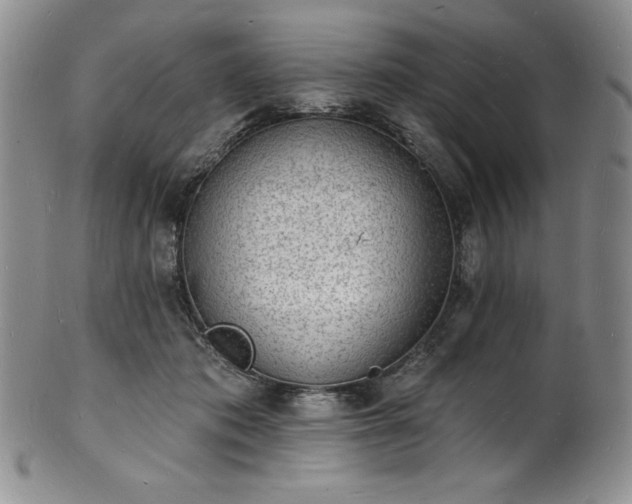 X0000101690413200807171440