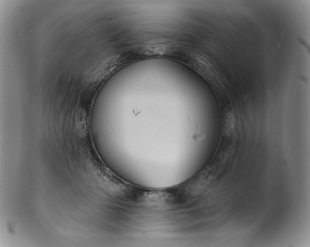 X0000101690414200807171440