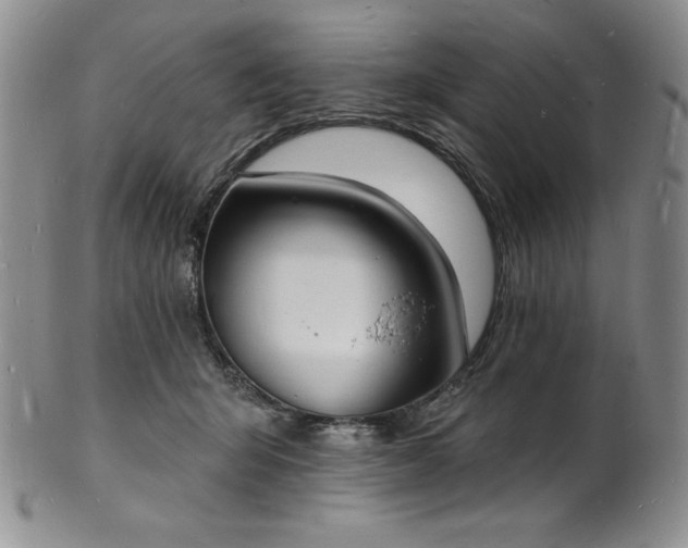 X0000101690415200807171440