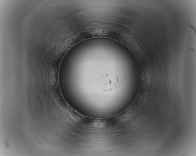 X0000101690416200807171440