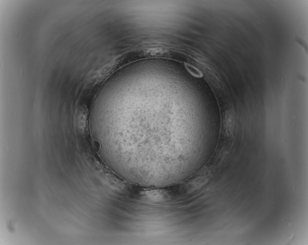 X0000101690417200807171440