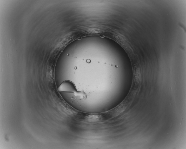 X0000101690418200807171440